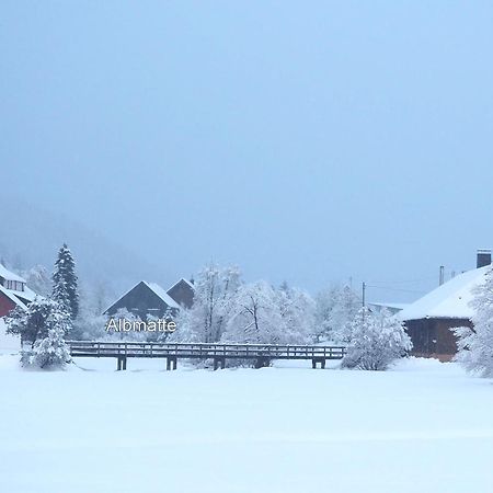 B1 Albmatte-Fewo Sauna, Hallenbad Aussenbecken Massagen Nebenan Menzenschwand-Hinterdorf Eksteriør billede