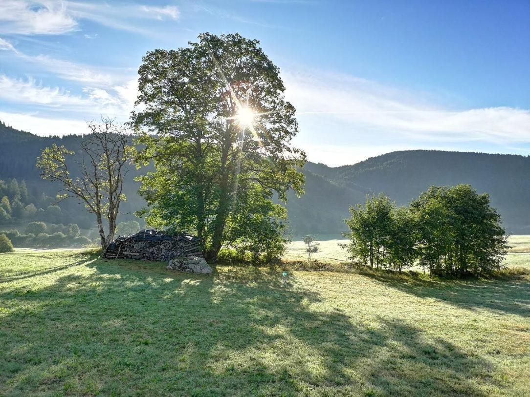 B1 Albmatte-Fewo Sauna, Hallenbad Aussenbecken Massagen Nebenan Menzenschwand-Hinterdorf Eksteriør billede