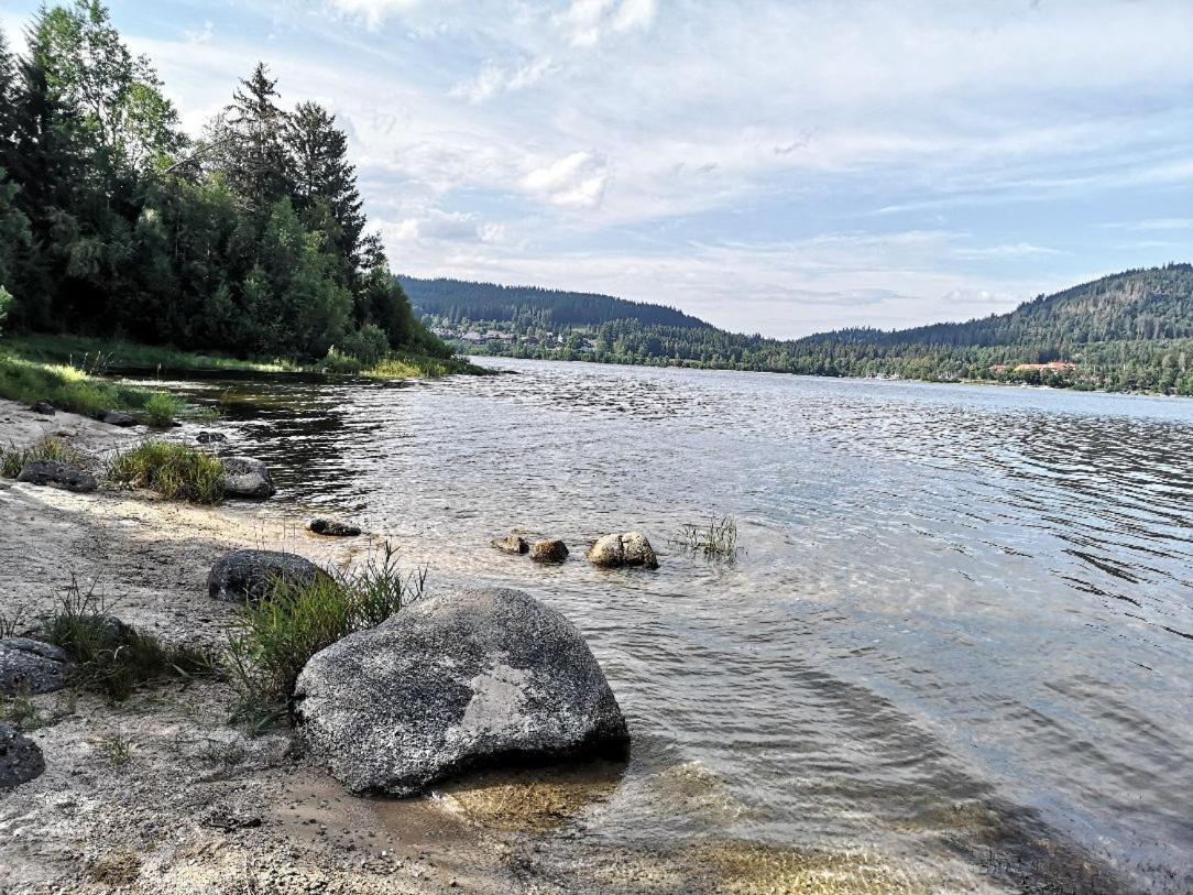 B1 Albmatte-Fewo Sauna, Hallenbad Aussenbecken Massagen Nebenan Menzenschwand-Hinterdorf Eksteriør billede