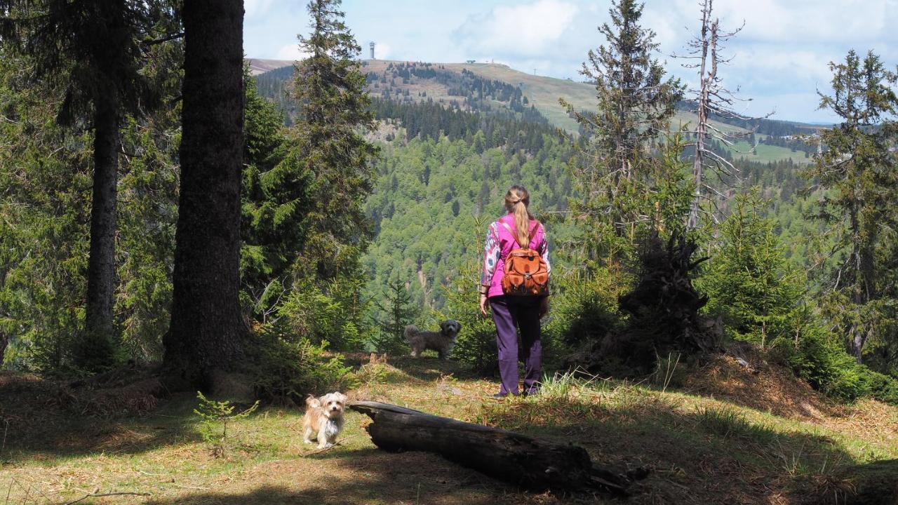 B1 Albmatte-Fewo Sauna, Hallenbad Aussenbecken Massagen Nebenan Menzenschwand-Hinterdorf Eksteriør billede