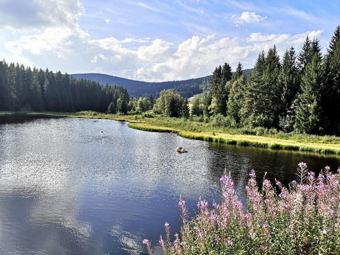 B1 Albmatte-Fewo Sauna, Hallenbad Aussenbecken Massagen Nebenan Menzenschwand-Hinterdorf Eksteriør billede