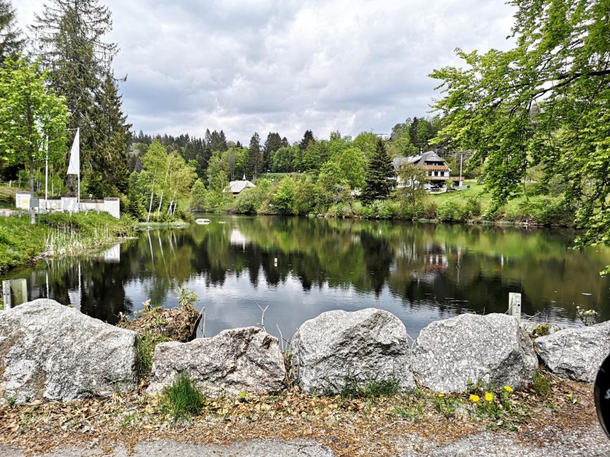B1 Albmatte-Fewo Sauna, Hallenbad Aussenbecken Massagen Nebenan Menzenschwand-Hinterdorf Eksteriør billede