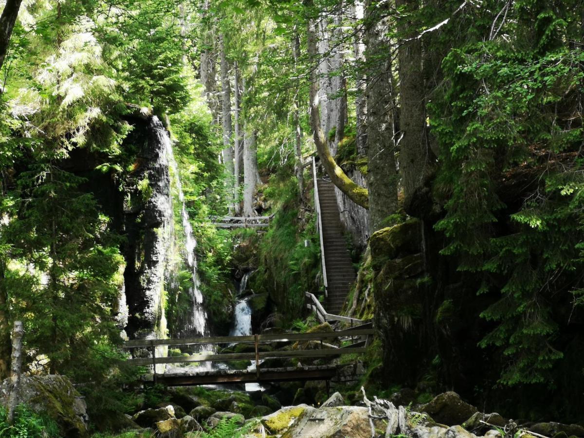 B1 Albmatte-Fewo Sauna, Hallenbad Aussenbecken Massagen Nebenan Menzenschwand-Hinterdorf Eksteriør billede