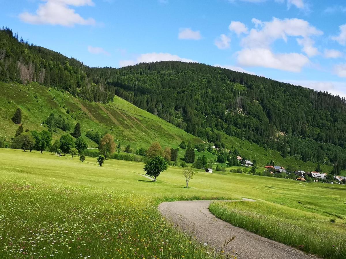B1 Albmatte-Fewo Sauna, Hallenbad Aussenbecken Massagen Nebenan Menzenschwand-Hinterdorf Eksteriør billede