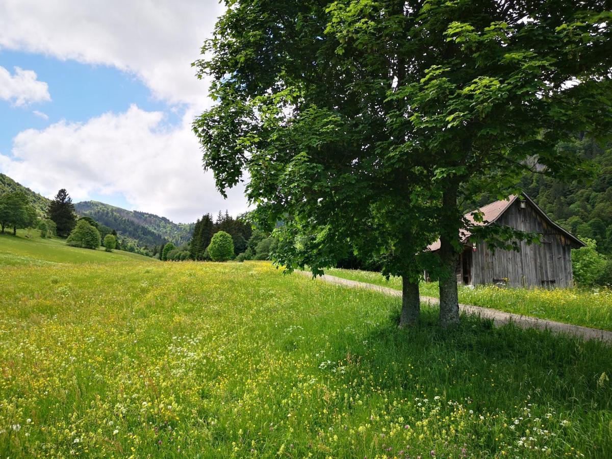 B1 Albmatte-Fewo Sauna, Hallenbad Aussenbecken Massagen Nebenan Menzenschwand-Hinterdorf Eksteriør billede