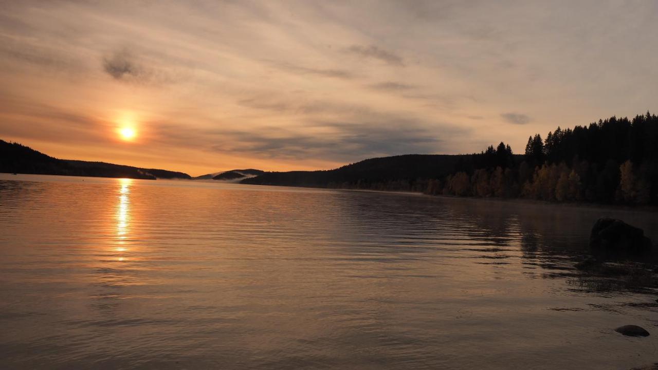 B1 Albmatte-Fewo Sauna, Hallenbad Aussenbecken Massagen Nebenan Menzenschwand-Hinterdorf Eksteriør billede