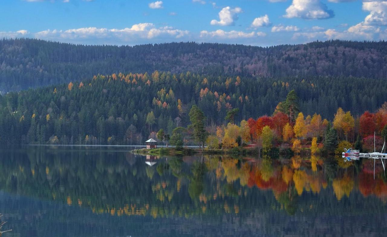 B1 Albmatte-Fewo Sauna, Hallenbad Aussenbecken Massagen Nebenan Menzenschwand-Hinterdorf Eksteriør billede