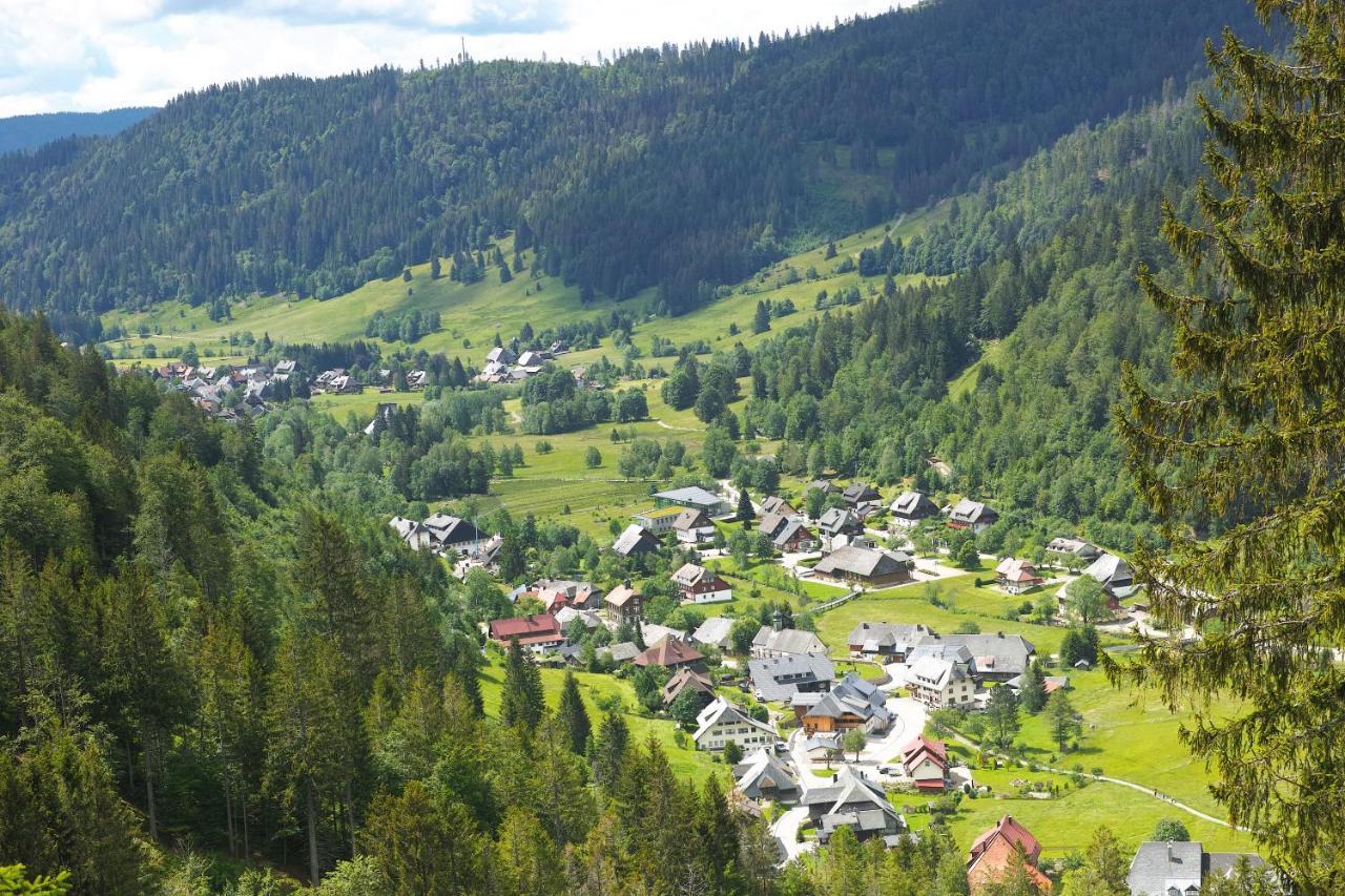 B1 Albmatte-Fewo Sauna, Hallenbad Aussenbecken Massagen Nebenan Menzenschwand-Hinterdorf Eksteriør billede