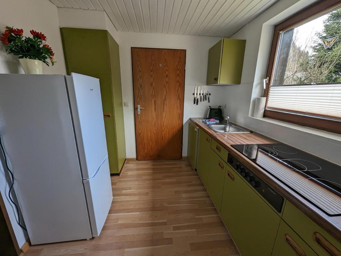 B1 Albmatte-Fewo Sauna, Hallenbad Aussenbecken Massagen Nebenan Menzenschwand-Hinterdorf Eksteriør billede