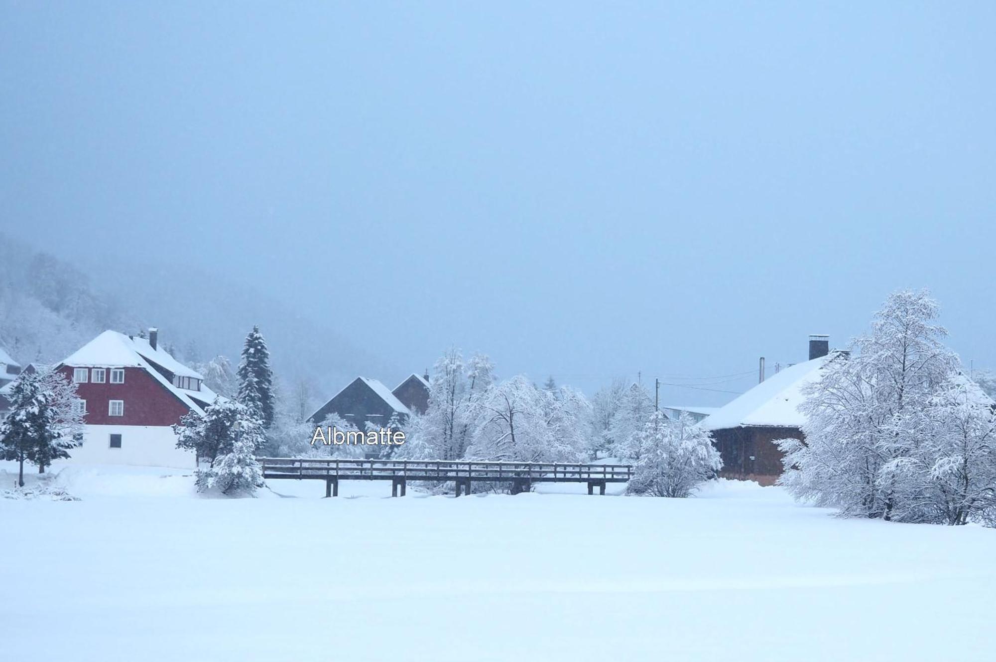 B1 Albmatte-Fewo Sauna, Hallenbad Aussenbecken Massagen Nebenan Menzenschwand-Hinterdorf Eksteriør billede