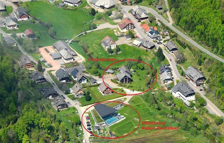 B1 Albmatte-Fewo Sauna, Hallenbad Aussenbecken Massagen Nebenan Menzenschwand-Hinterdorf Eksteriør billede