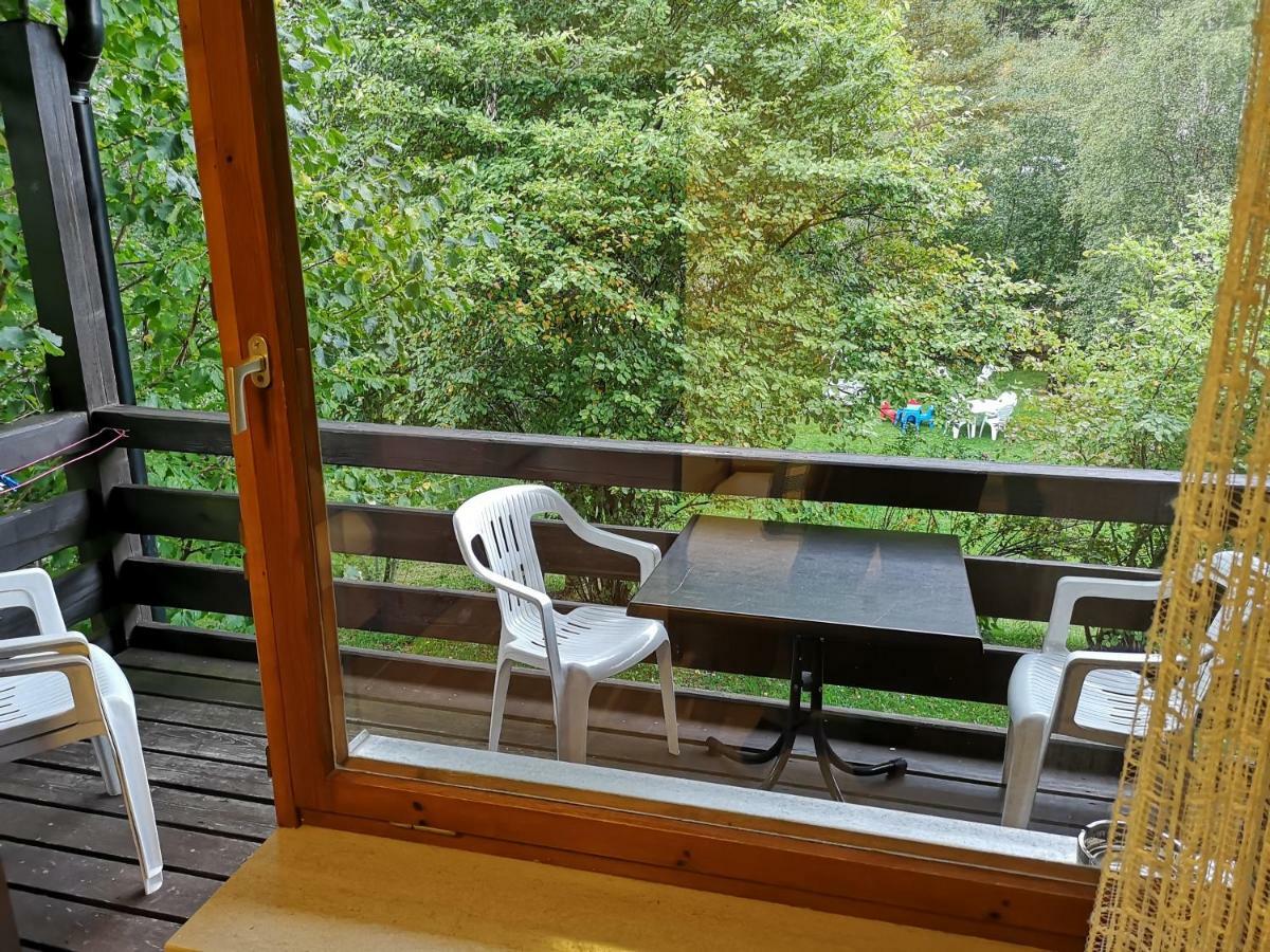 B1 Albmatte-Fewo Sauna, Hallenbad Aussenbecken Massagen Nebenan Menzenschwand-Hinterdorf Eksteriør billede