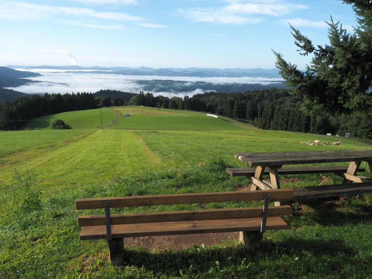 B1 Albmatte-Fewo Sauna, Hallenbad Aussenbecken Massagen Nebenan Menzenschwand-Hinterdorf Eksteriør billede