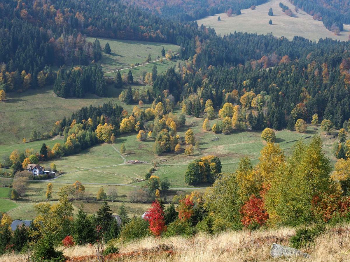 B1 Albmatte-Fewo Sauna, Hallenbad Aussenbecken Massagen Nebenan Menzenschwand-Hinterdorf Eksteriør billede