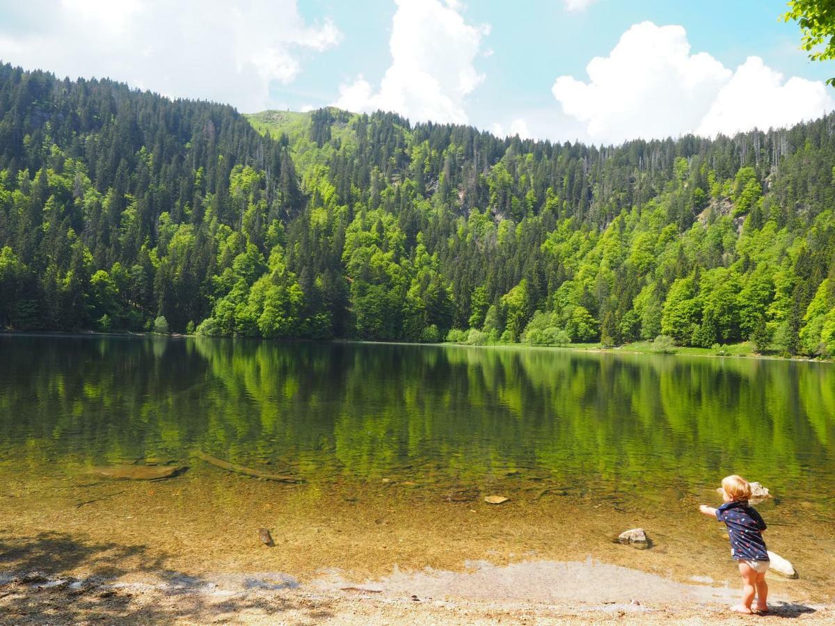 B1 Albmatte-Fewo Sauna, Hallenbad Aussenbecken Massagen Nebenan Menzenschwand-Hinterdorf Eksteriør billede