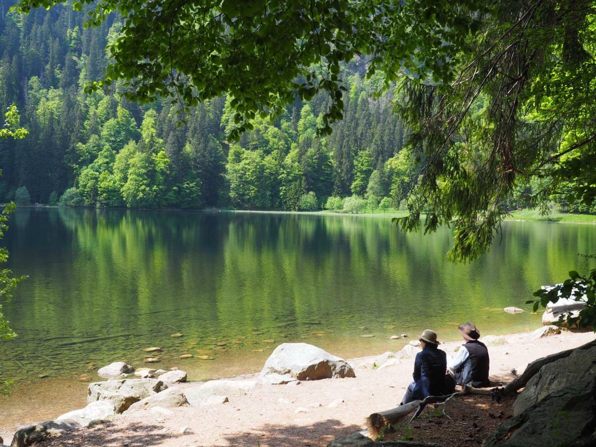 B1 Albmatte-Fewo Sauna, Hallenbad Aussenbecken Massagen Nebenan Menzenschwand-Hinterdorf Eksteriør billede