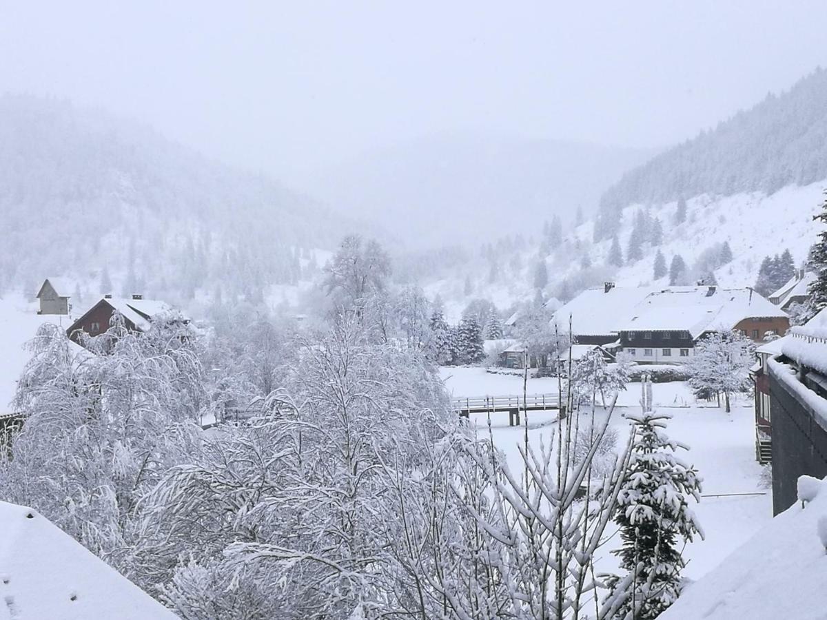 B1 Albmatte-Fewo Sauna, Hallenbad Aussenbecken Massagen Nebenan Menzenschwand-Hinterdorf Eksteriør billede