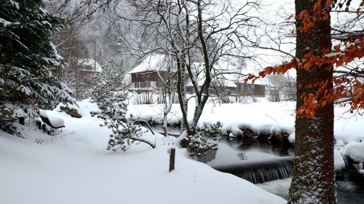 B1 Albmatte-Fewo Sauna, Hallenbad Aussenbecken Massagen Nebenan Menzenschwand-Hinterdorf Eksteriør billede